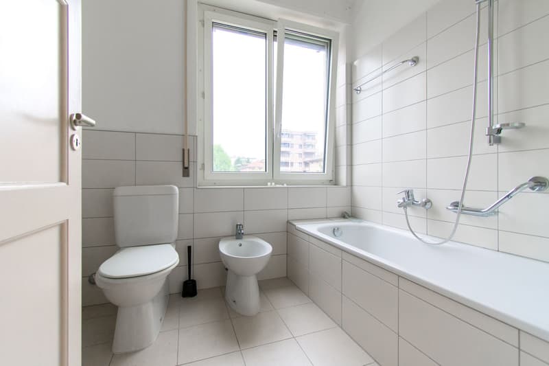 APPARTEMENT LUMINEUX DE 4 PIÈCES À DEUX PAS DU LAC (10)