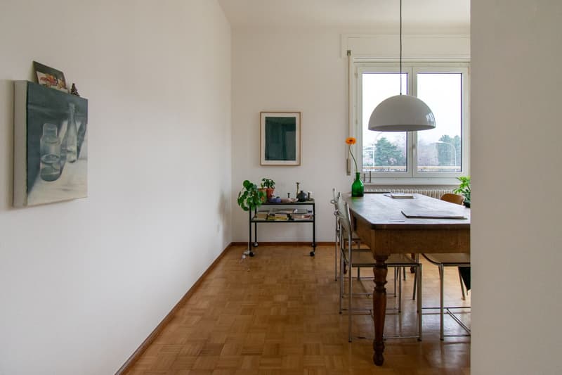 APPARTEMENT LUMINEUX DE 4 PIÈCES À DEUX PAS DU LAC (4)