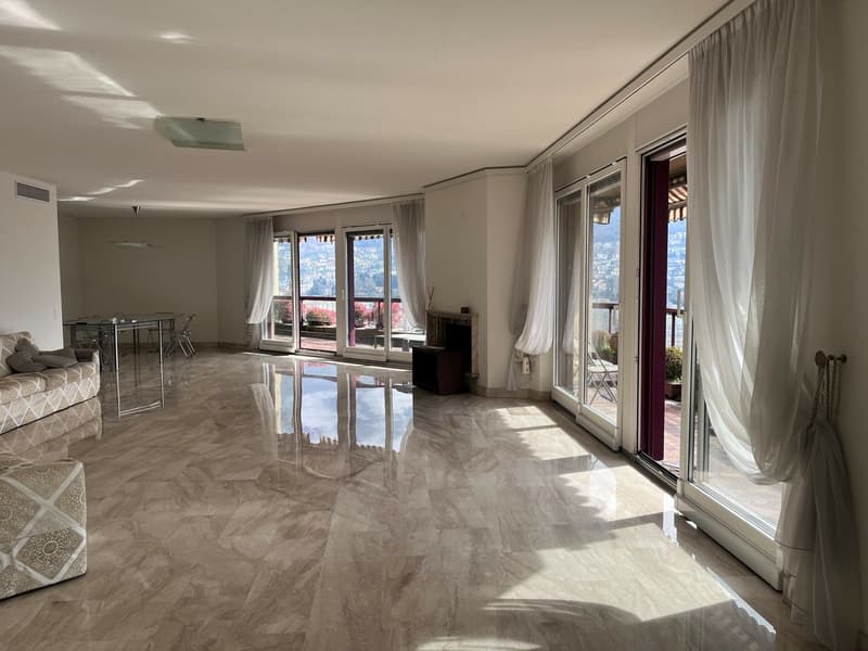 Attic with Terrace and Lake View (5)