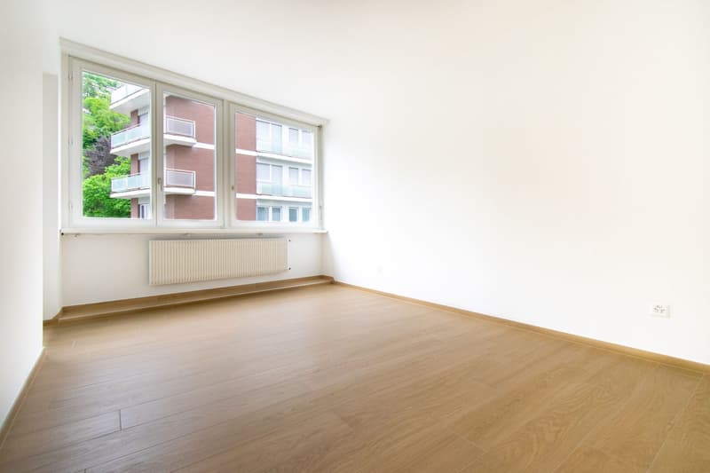 3,5 Lokale komplett renoviert in Cassarate (7)