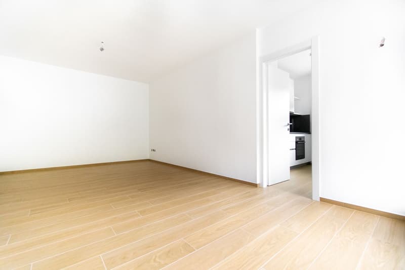 3,5 Lokale komplett renoviert in Cassarate (3)