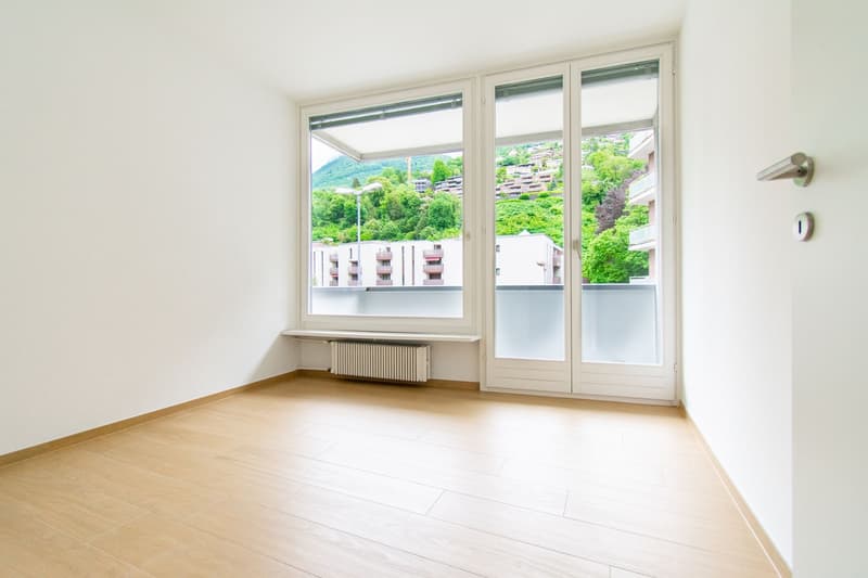 3,5 Lokale komplett renoviert in Cassarate (5)