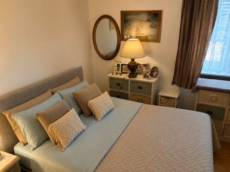 2.5 rooms with large balcony in central location (3)