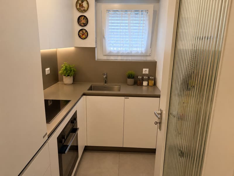 2.5 rooms with large balcony in central location (2)