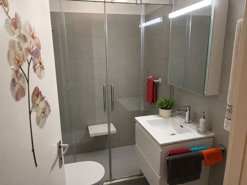 2.5 rooms with large balcony in central location (4)