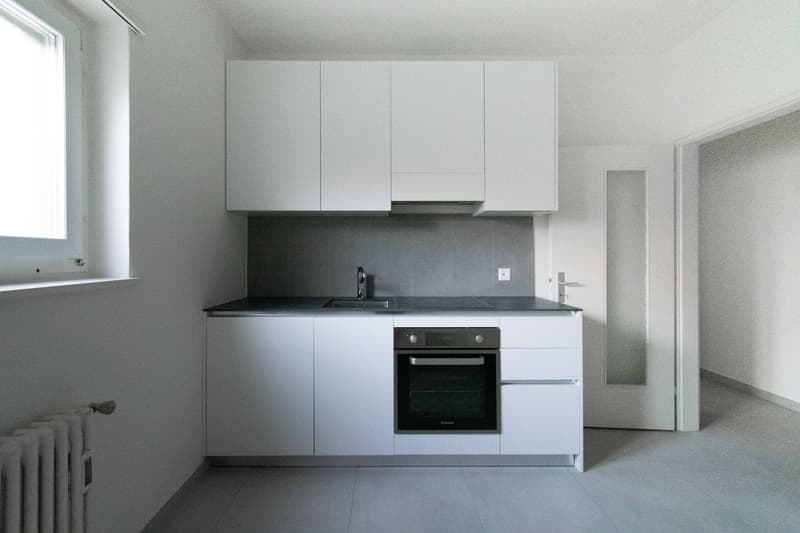 4 Rooms Renovated in Mendrisio (1)