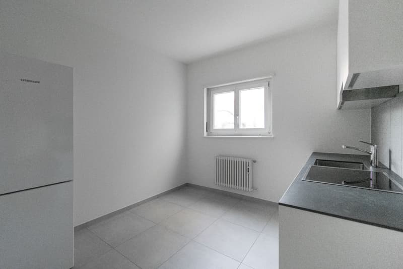 4 Rooms Renovated in Mendrisio (2)