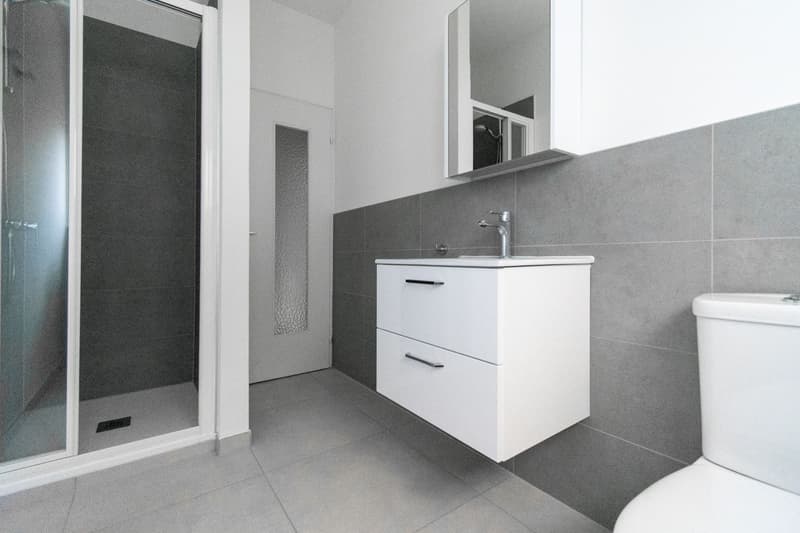 4 Rooms Renovated in Mendrisio (7)