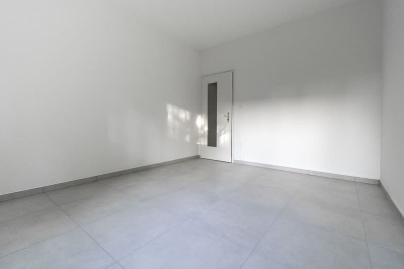 4 Rooms Renovated in Mendrisio (3)
