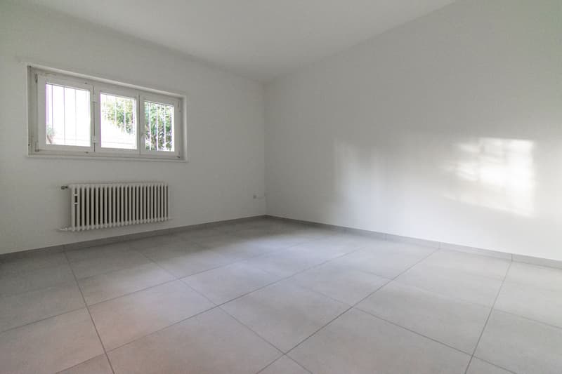 4 Rooms Renovated in Mendrisio (5)