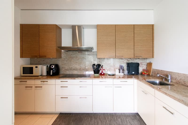 Appartement moderne 4.5 pièces avec terrasse (4)