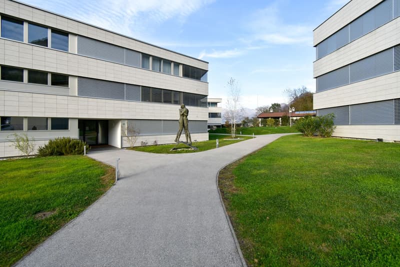 Modernes und geräumiges 2.5-Zimmer-Wohnung in Pazzallo (1)