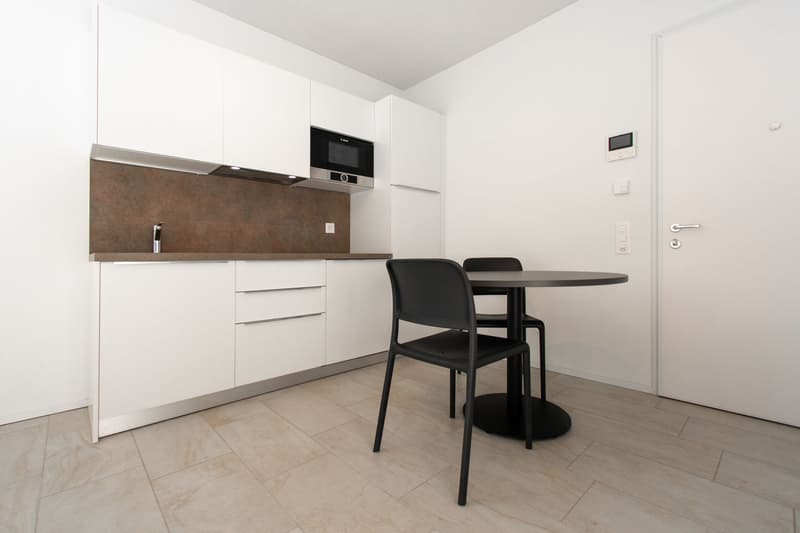 MODERNO MONOCALE ARREDATO A VIGANELLO (4)
