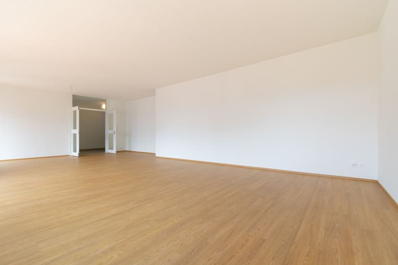 GROßES 5.5-ZIMMER-WOHNUNG IN EINER SEHR GUTERSERVICIERTEN GEGENDE (6)