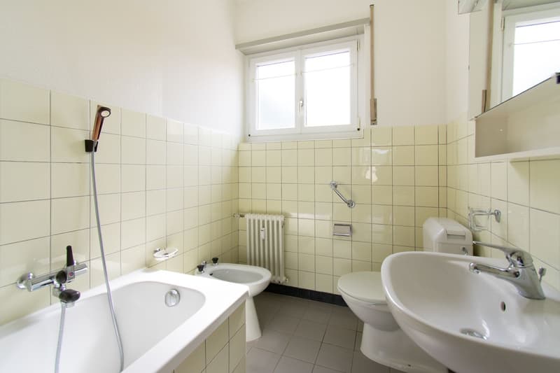 Stabile mit Einkommen im Herzen von Mendrisio (6)
