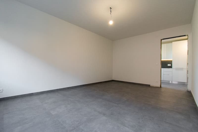 3.5 Zimmer renoviert in Pregassona (4)