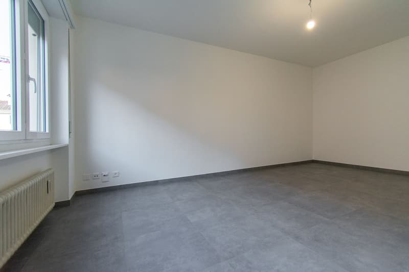 3.5 Zimmer renoviert in Pregassona (5)