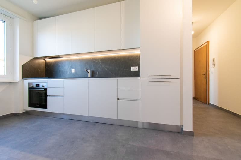 3.5 Zimmer renoviert in Pregassona (1)