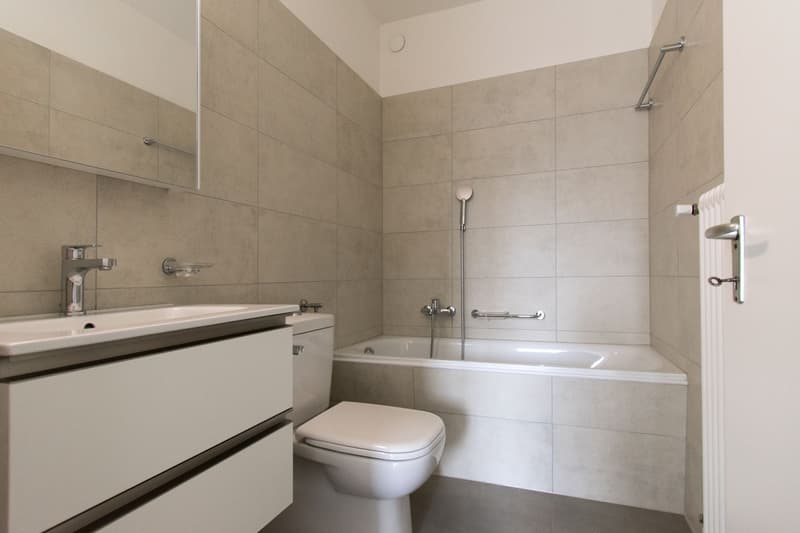3.5 Zimmer renoviert in Pregassona (8)