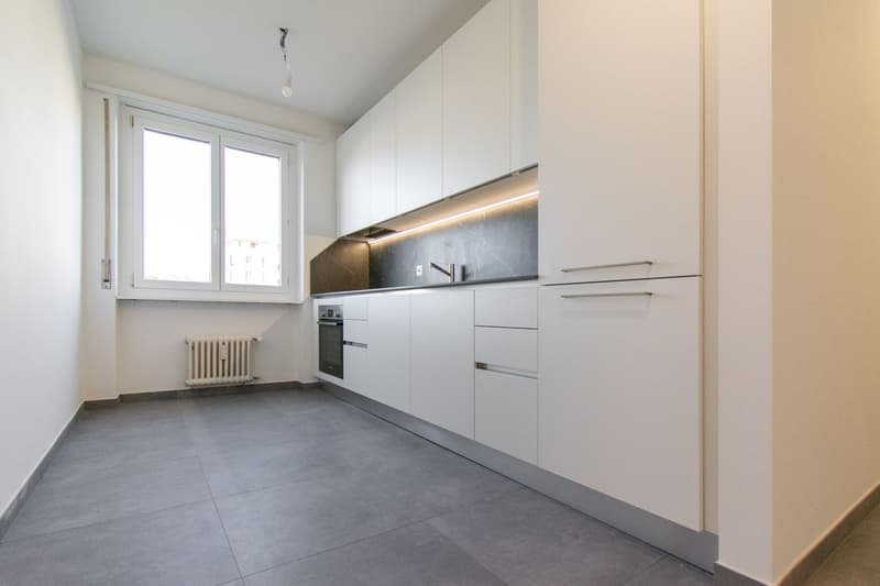 3.5 Zimmer renoviert in Pregassona (2)