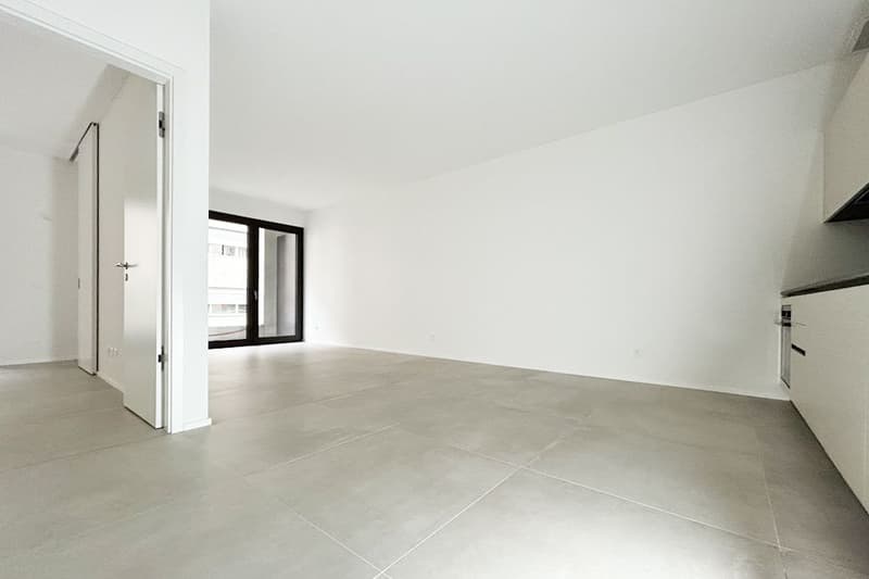 HELLES 2.5 ZIMMER WOHNUNG IN LUGANO, NEUBAU (3)