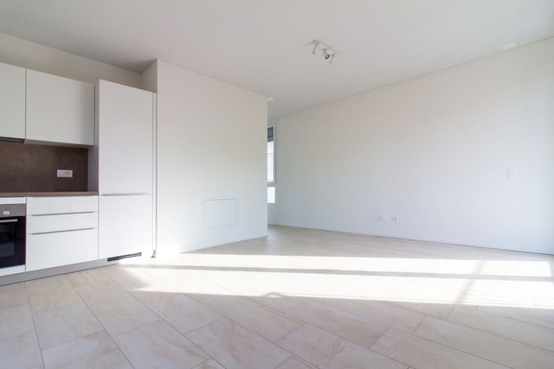 MODERNI 2.5 E 3.5 LOCALI A VIGANELLO (2)