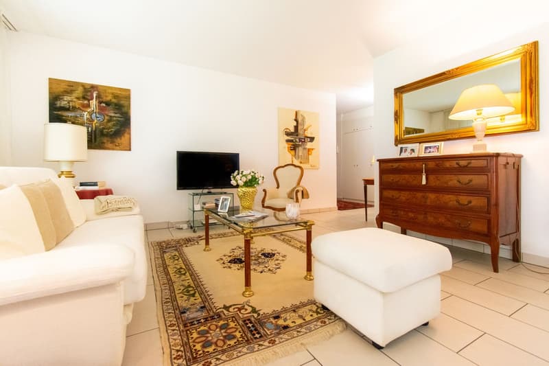 GRANDE APPARTAMENTO 3.5 LOCALI CON GIARDINO (3)