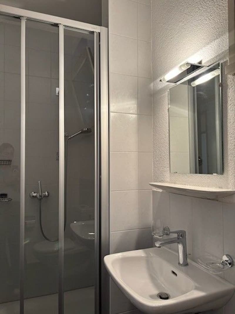 ELEGANTE 2.5 LOCALI CON BELLA VISTA LAGO (11)