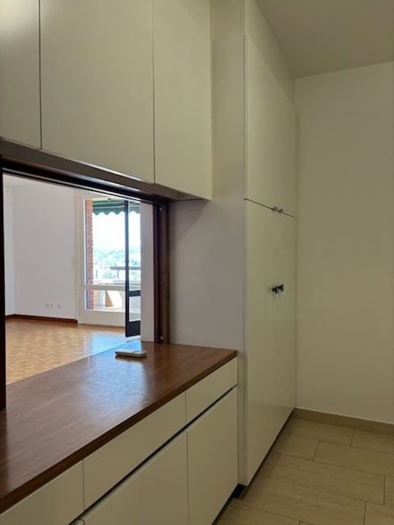 ELEGANTE 2.5 LOCALI CON BELLA VISTA LAGO (8)
