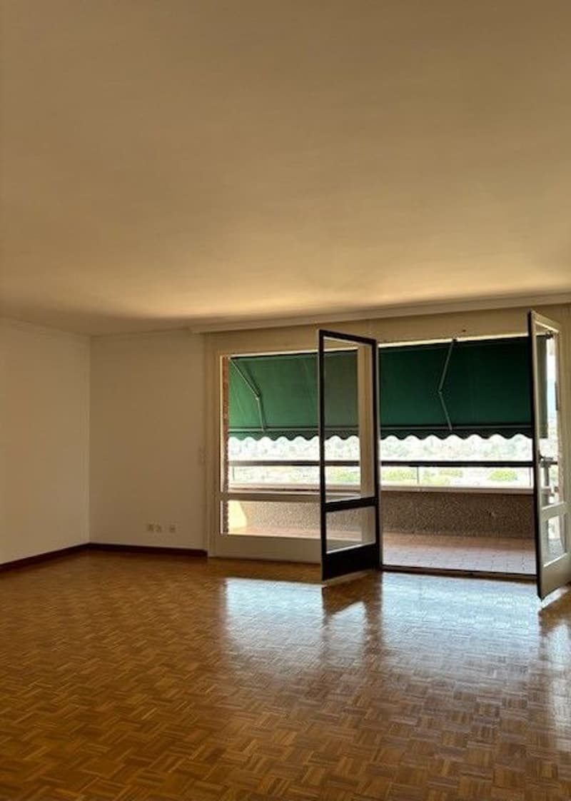 ELEGANTE 2.5 LOCALI CON BELLA VISTA LAGO (2)
