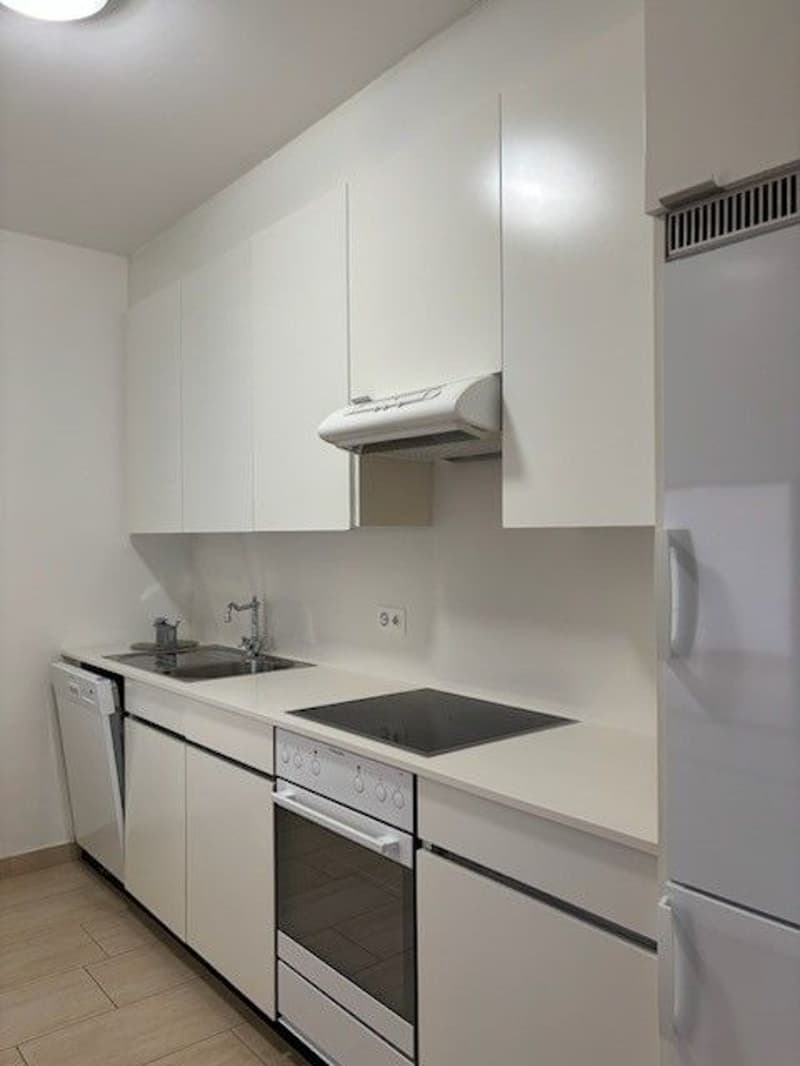 ELEGANTE 2.5 LOCALI CON BELLA VISTA LAGO (10)