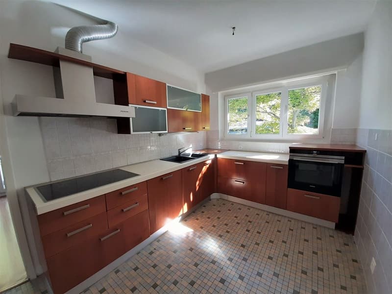 AMPIO APPARTAMENTO IN CASA BIFAMILIARE IMMERSO NEL VERDE (9)