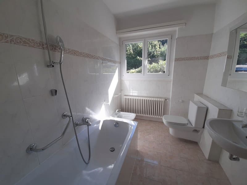 AMPIO APPARTAMENTO IN CASA BIFAMILIARE IMMERSO NEL VERDE (11)