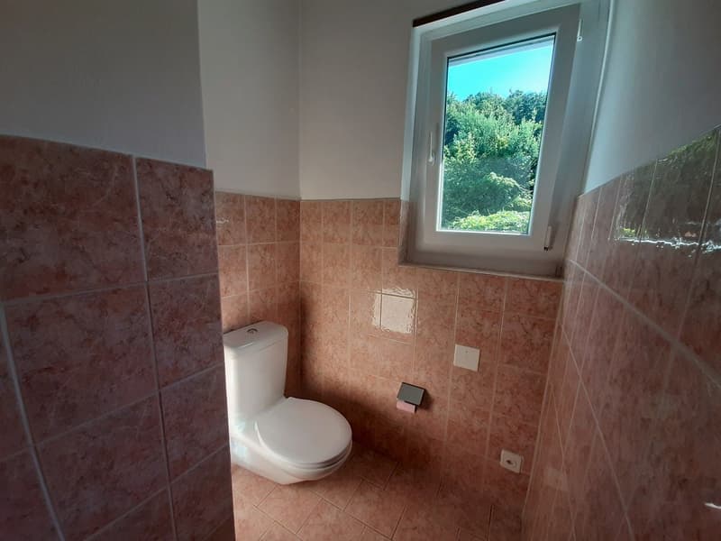 AMPIO APPARTAMENTO IN CASA BIFAMILIARE IMMERSO NEL VERDE (12)