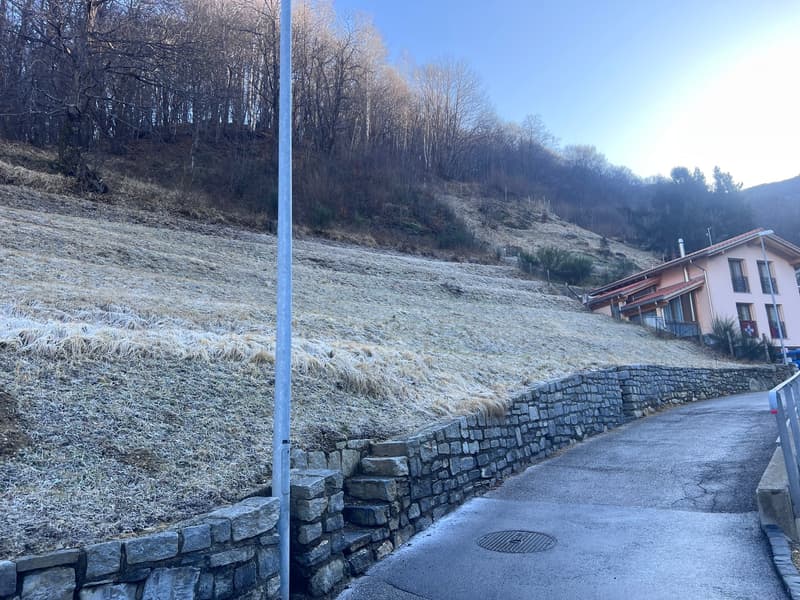 Terrain avec projet approuvé pour 4 maisons à Lugano-Valcolla (8)
