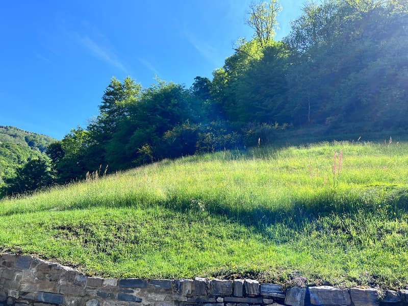 Terreno con progetto approvato per 4 case a Lugano-Valcolla (12)