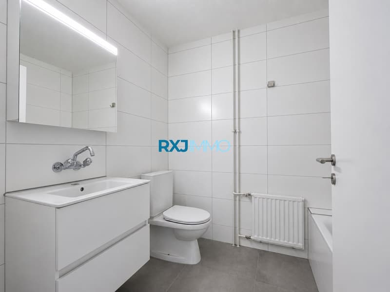 3,5 Zimmer renoviert mit großem privatem Garten von 218 m² – sofort verfügbar (6)