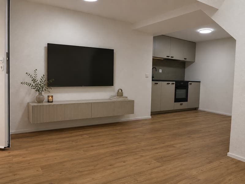 Appartamento moderno 1.5 locali – con terrazza! (2)
