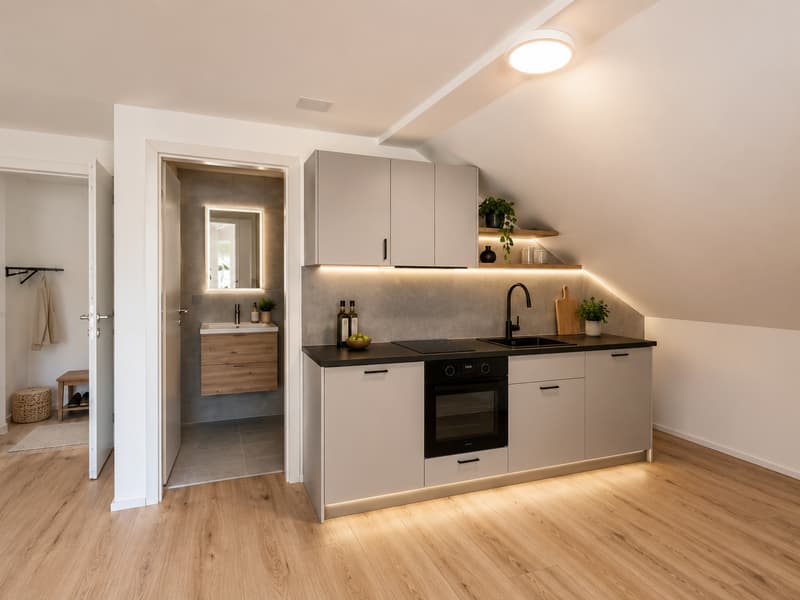 1 Zimmer Wohnung Möbliert ! Frisch Renoviert (5)