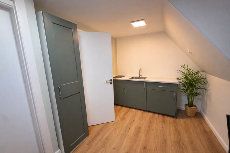 1-Zimmer Wohnung, möbliert in Kriens (3)