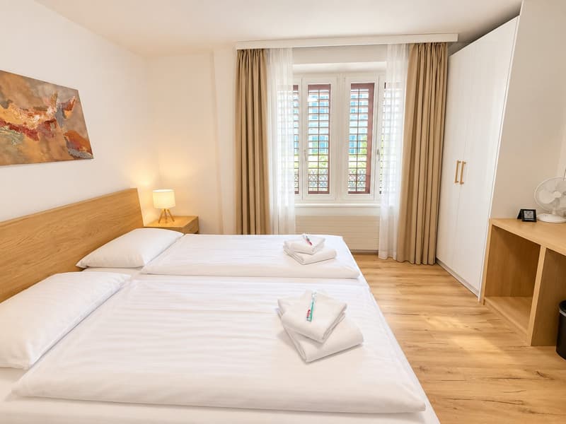 Gemütliches möbliertes 1-Zimmer-Apartment in Kriens (2)