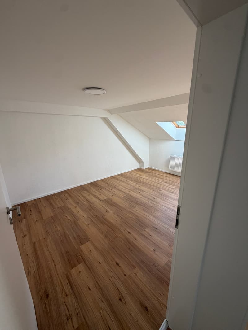2,5 Zimmer Wohnung – renoviert! (15)
