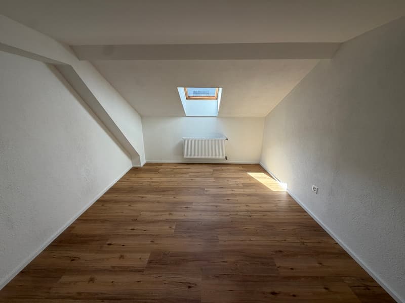 2,5 Zimmer Wohnung – renoviert! (4)
