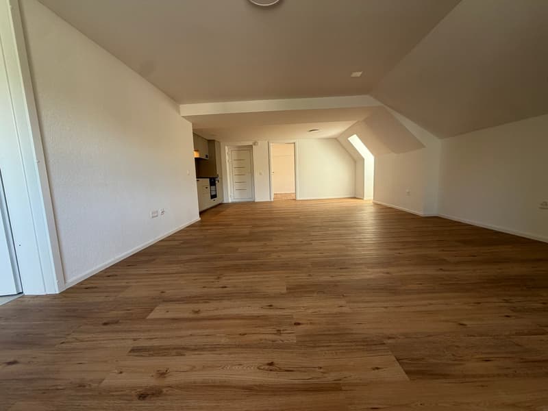 2,5 Zimmer Wohnung – renoviert! (14)