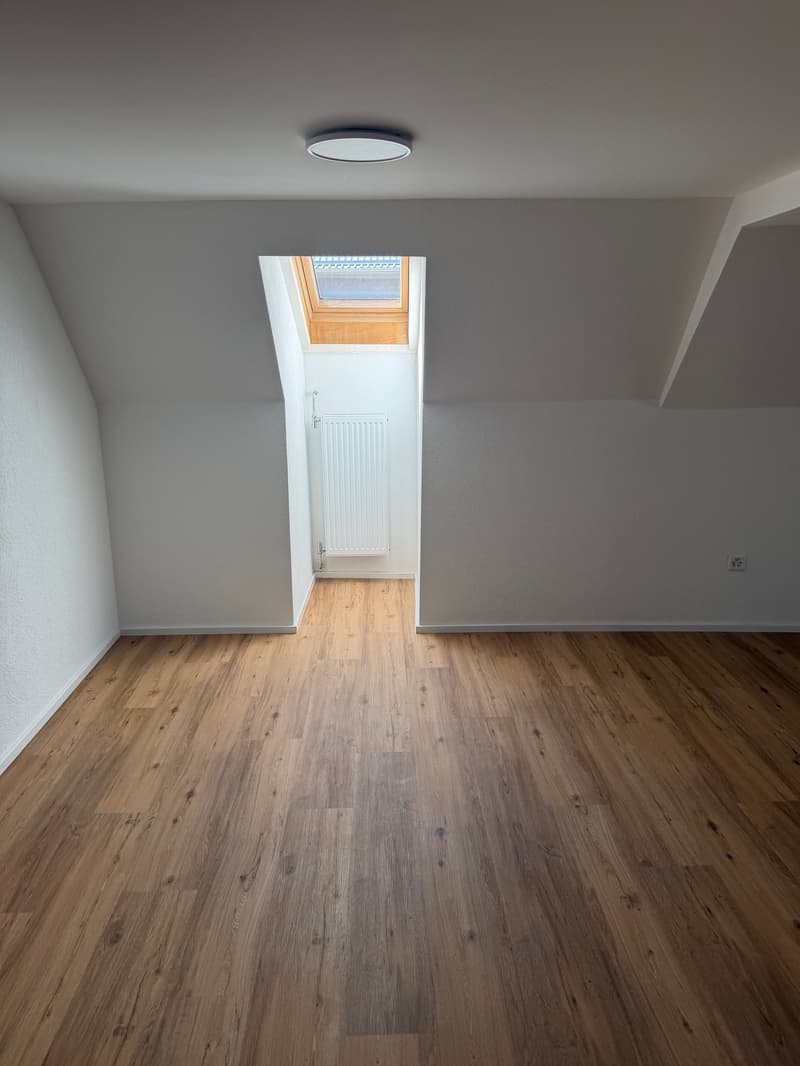 2,5 Zimmer Wohnung – renoviert! (6)