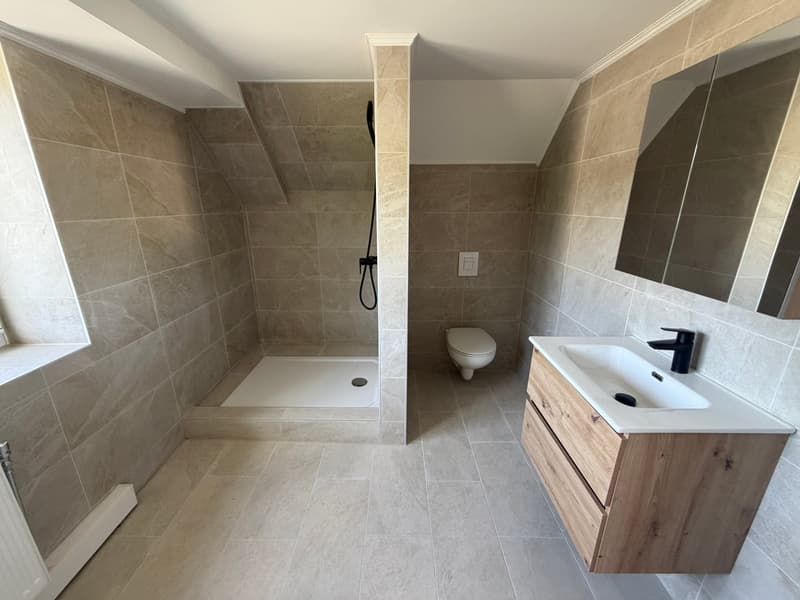 2,5 Zimmer Wohnung – renoviert! (8)