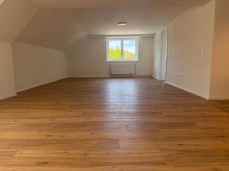 2,5 Zimmer Wohnung – renoviert! (1)