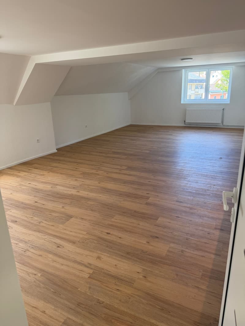 2,5 Zimmer Wohnung – renoviert! (7)