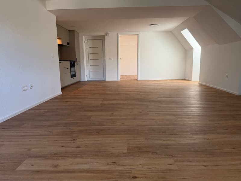 2,5 Zimmer Wohnung – renoviert! (16)
