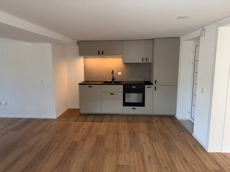 2,5 Zimmer Wohnung – renoviert! (17)